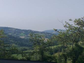 Uno Chalet Nel Bosco