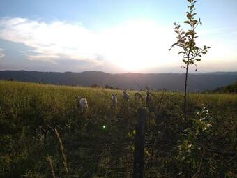 Apartamento Piccolo Nido In Alta Langa /cosy Studio