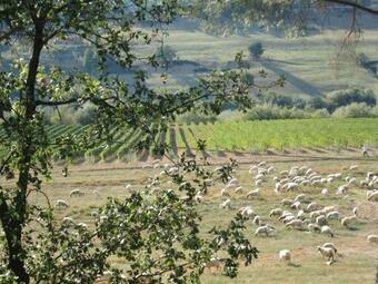 Villa Tenuta Santa Cristina