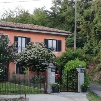 Le Rose Di Mapi