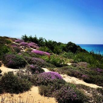 Villa Corte Del Sole