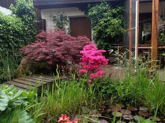 Apartamento An Der Bremke