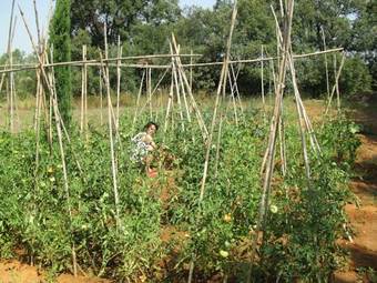 Bed & Breakfast Fundaci� L'olivar