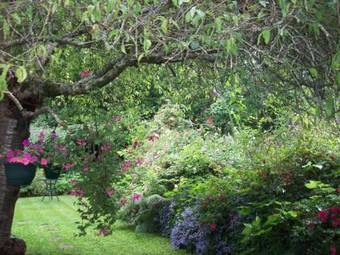 Lodge Clarendon Cottages