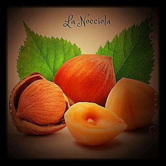 Apartamento Appartamento Arredato Uso Turistico "la Nocciola"