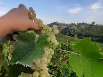 Agriturismo Magna Mater