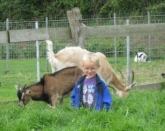 Apartamento Ferienwohnung Clausen