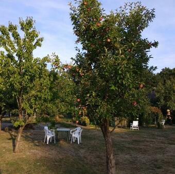 Ferienhaus/ Monteurzimmer Luttum