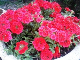 Apartamento Cascina Bricco