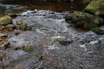 Hostal Pension "bei Angela "