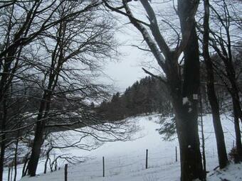 Ferienhaus Vulkaneifel Kopp