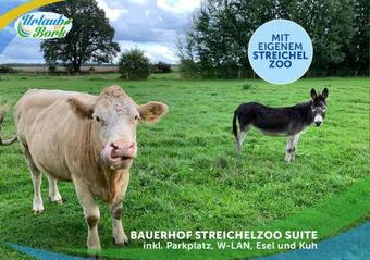 Apartamento Jagd-angler-suite-03-im-wald-am-see