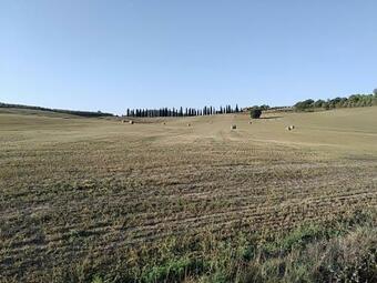 Casa Vacanze "nonna Vela"