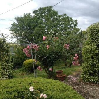 Casa Colli Piacentini