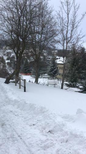 Apartamento Appartamento L'araba Fenice