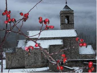 Apartamentos L�era De Baix
