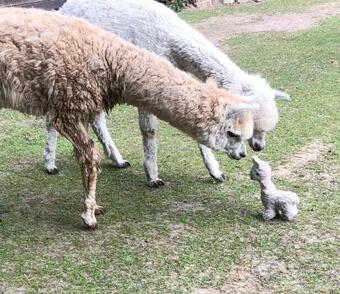 Apartamento Ferienwohnung Im Park