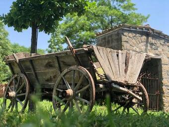 B&B Carlo III Formicola