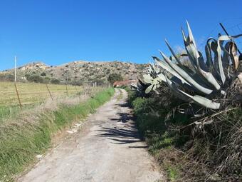 La Finestra Sul Gelso