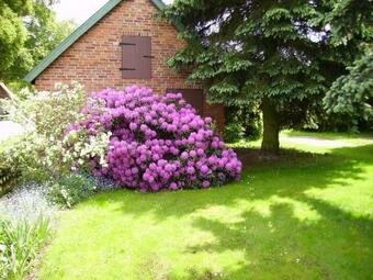 Apartamento Zur-kirsche