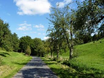 Apartamento Ferienwohnung Familie Jacobi "kurf�rst"