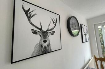 Silver Stag Properties, 3 Bed House With Parking