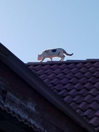 Apartamento Fewo Sonnenweg-neuseenland-gro�p�sna