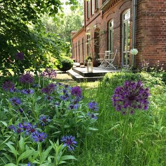 Apartamento Ferienwohnung Zum Breitling In Stove