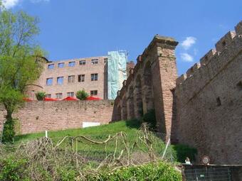 Apartamentos Tauber Sonnen Lodge