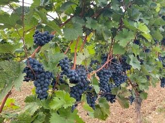 Apartamentos Ferienwohnung Altes Rathaus