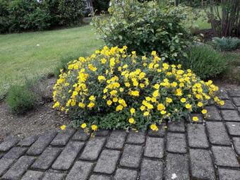 Apartamento Ferienwohnung Luise