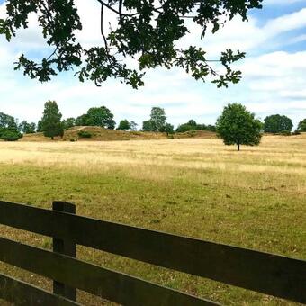 Bed & Breakfast Zum Hoambarg, Kitchen, Balcony, Bathroom