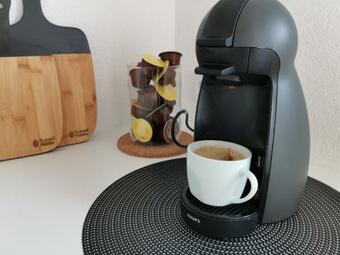 Moderne Ferienwohnung Rhenum Mit Wallbox