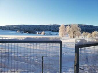 Apartamento Ferienwohnung Steinberg