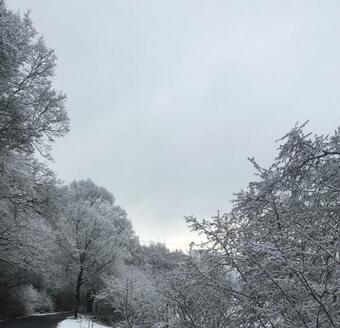 Apartamento App. Web Appartement Westerburg