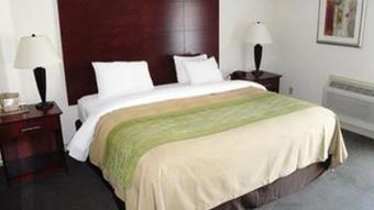 Hotel Comfort Inn & Suites Thousand Islands Harbour District