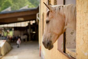 Ferienhaus K�nigskerze