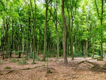 Apartamento Villa Ferialis