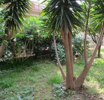 Apartamento Giardino Degli Aranci - Resort