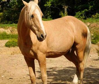 Maison De 3 Chambres Avec Piscine Partagee Jardin Amenage Et Wifi A Baudinard Sur Verdon