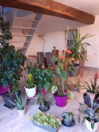 Hostal L'eden Cach�