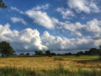 Wiemer - Reetdachlandhaus Wiemersh�rn