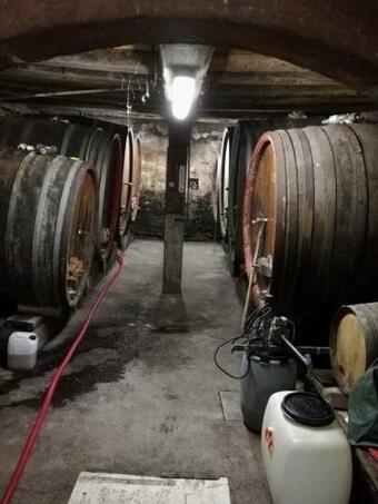 Apartamento Les G�tes Du Rac�me