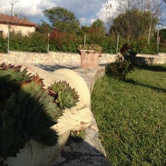 Cherry House Bed&breakfast