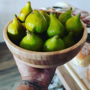 Bed & Breakfast La Ceiba Speciosa