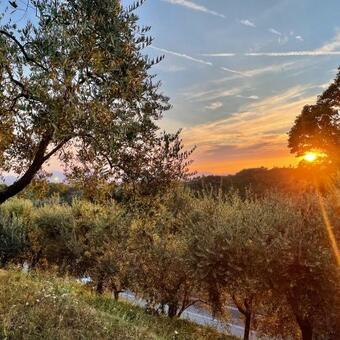 Alloro Case Vacanze 1