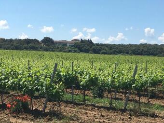 Bed & Breakfast Suite Ind�pendante Avec Balneo Au C?ur Des Vignes