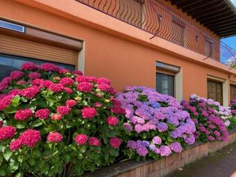 G�te, Suite D'hote De Charme