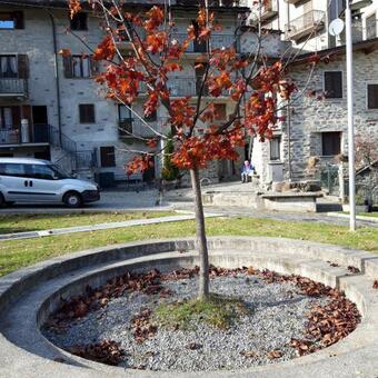 Apartamento Accogliente Struttura Nel Cuore Della Valmalenco