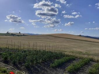 Apartamento Agriturismo Enjoy Sunset